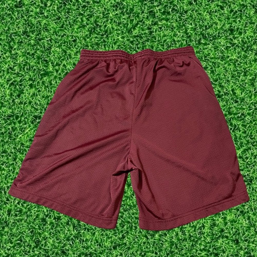 Champion Harvard Law Vintage Varsity Shorts - Picture 3 of 4